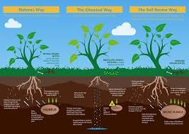 Mata Kuliah ini membahas tentang peranan tanah sebagai media pertumbuhan tanaman, unsur hara dalam tanah dan peranannya untuk